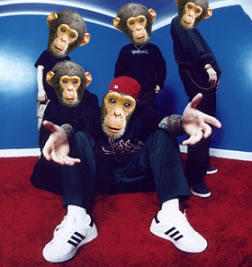 Chimp Bizkit